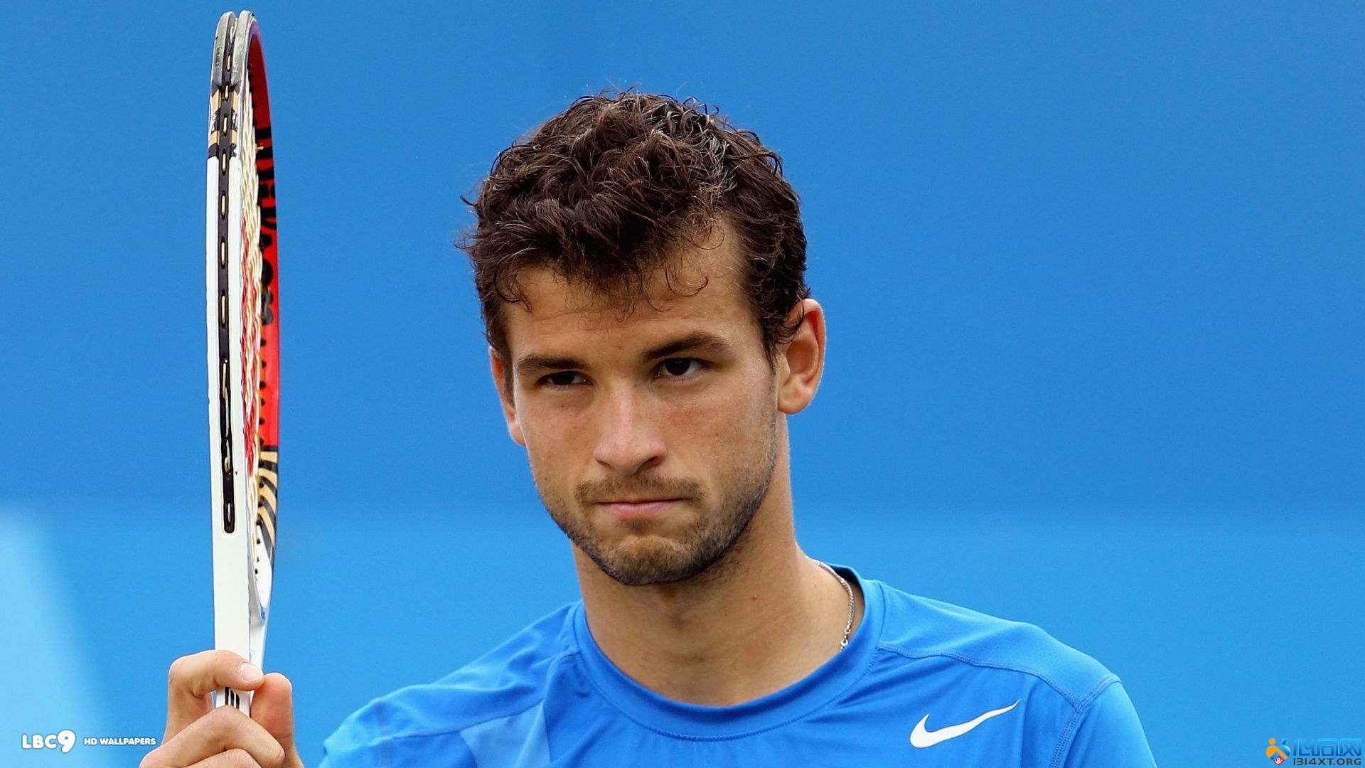 更倾向于维 更倾向于维