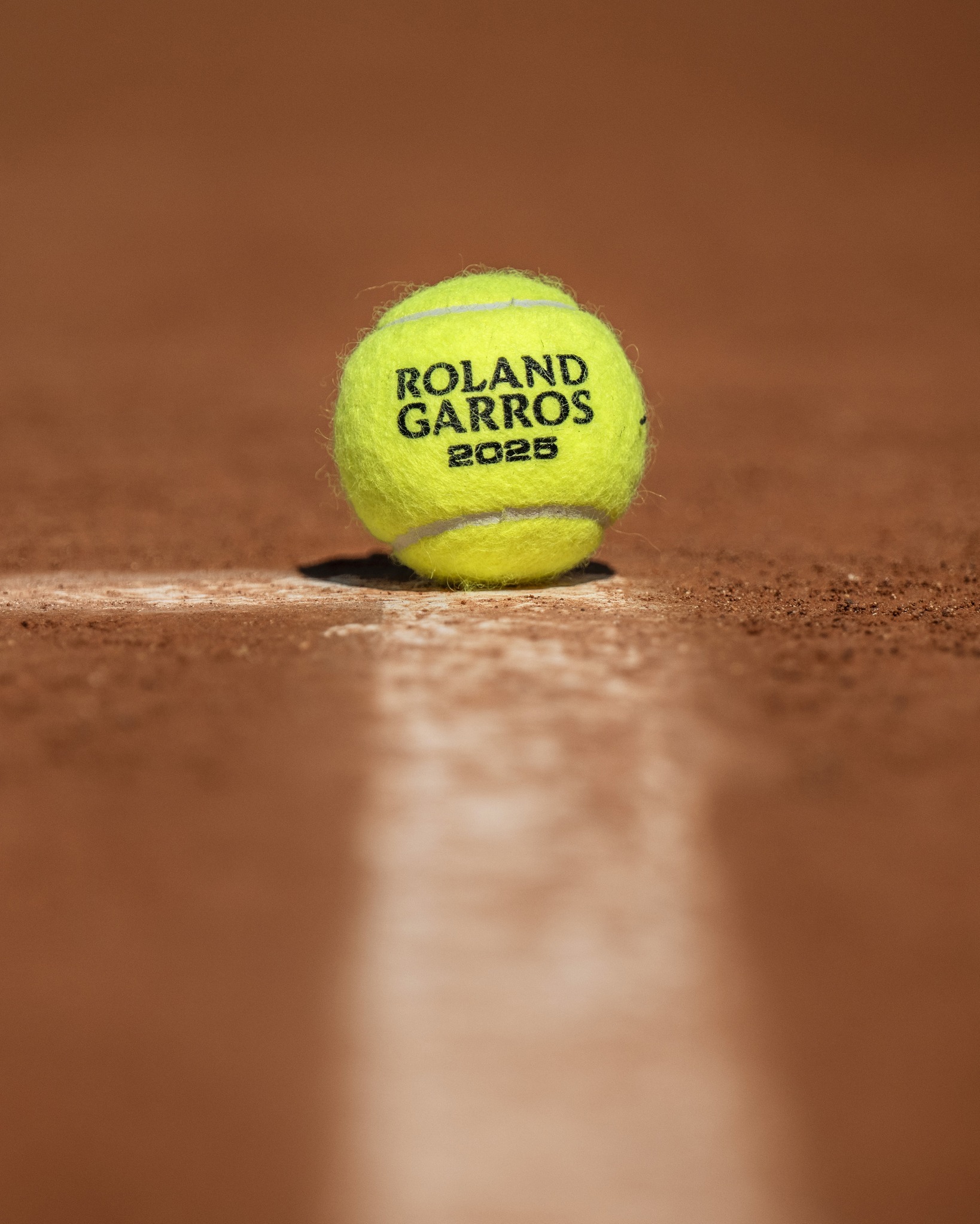 还可能成为 还可能成为