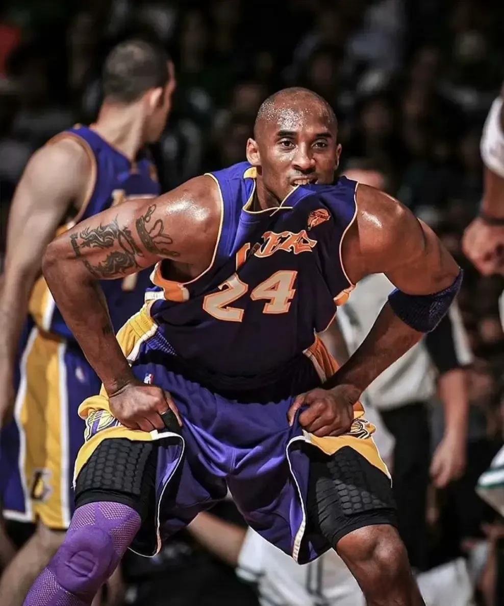 年度白皮书 年度白皮书